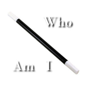 Magic Wand Navigation System